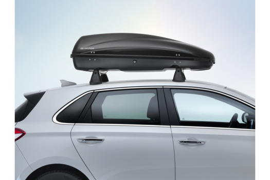 Hyundai discount roof box